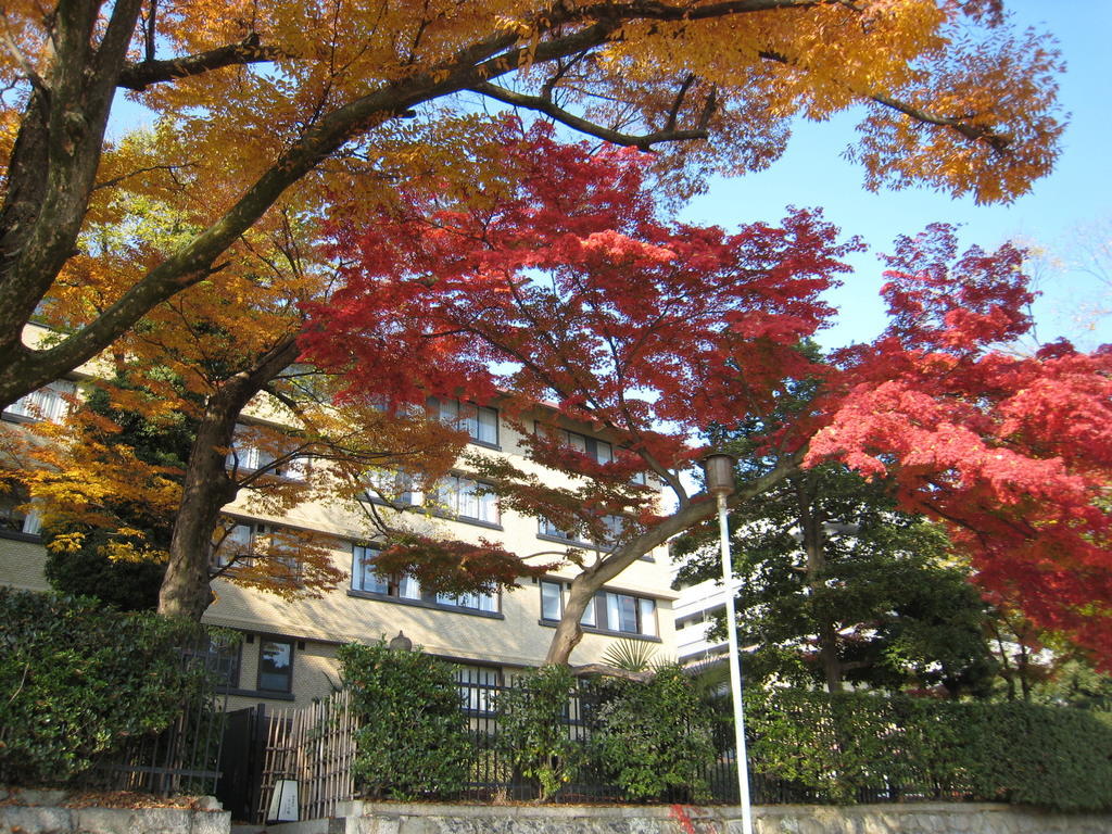 Kkr Kyoto Kuniso Otel Dış mekan fotoğraf